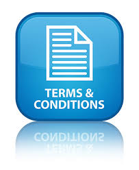 Dopow Terms and Conditions